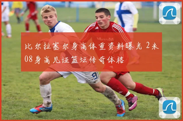 比尔拉塞尔身高体重资料曝光 2米08身高见证篮坛传奇体格